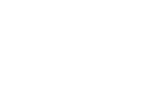 grupoaguia_certificado_vvinteligenciahumanitaria2